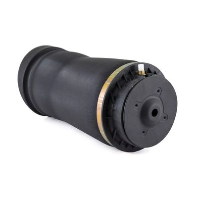 W251 Air Spring Rear