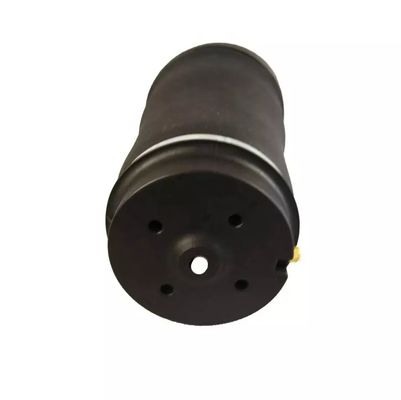 W251 Air Spring Rear