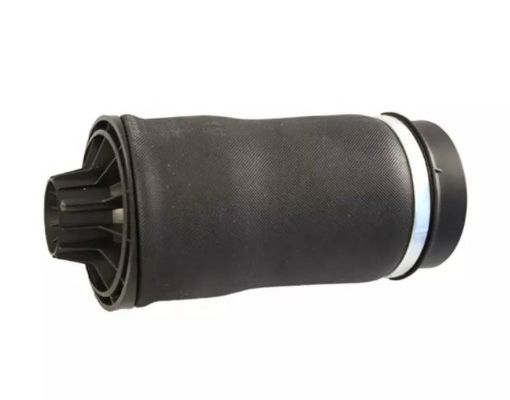 W251 Air Spring Rear