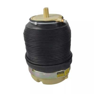 A6 C6 Air Spring Rear