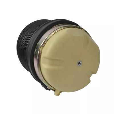 A6 C6 Air Spring Rear