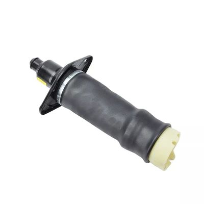 A6 C5 Air Spring Rear L&amp;R