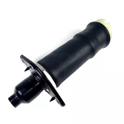 A6 C5 Air Spring Rear L&amp;R