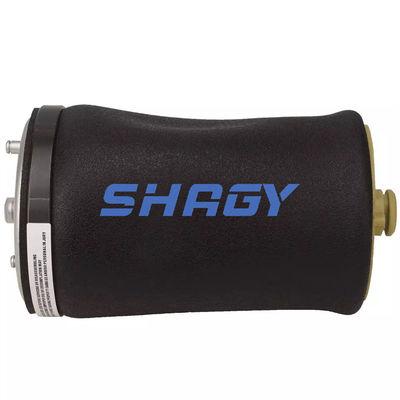 Suitable for BMW X5 E53 Rear left 37121095579 Air Spring