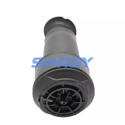 For Mercedes Citroen C4 rear 96819460805102 GN5102R8 Air Spring